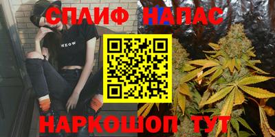 молекула духа Будённовск