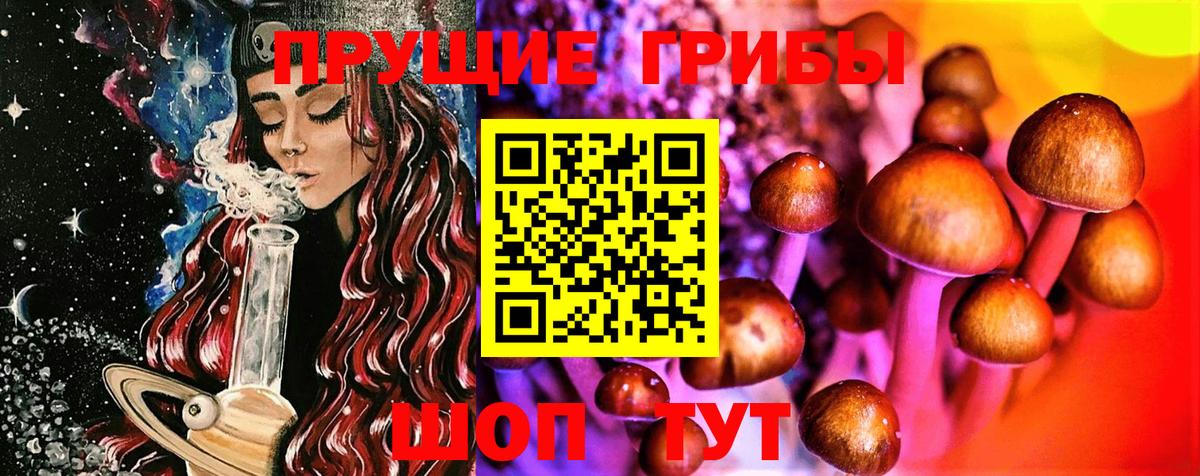 Галлюциногенные грибы Psilocybe Балашов